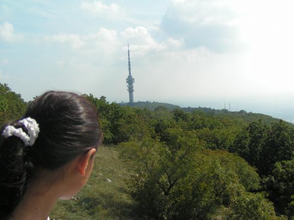 pict4794 (web)
